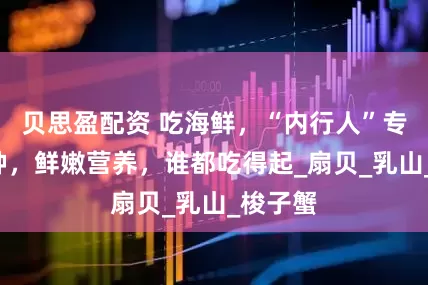 贝思盈配资 吃海鲜，“内行人”专买这3种，鲜嫩营养，谁都吃得起_扇贝_乳山_梭子蟹