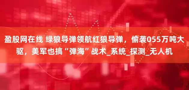 盈股网在线 绿狼导弹领航红狼导弹，偷袭055万吨大驱，美军也搞“弹海”战术_系统_探测_无人机