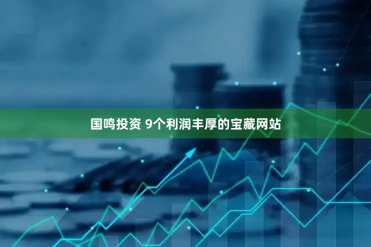 国鸣投资 9个利润丰厚的宝藏网站
