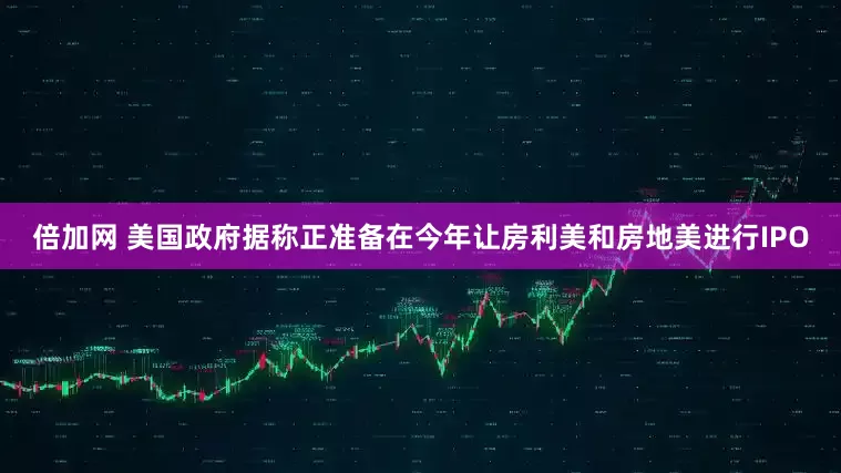 倍加网 美国政府据称正准备在今年让房利美和房地美进行IPO