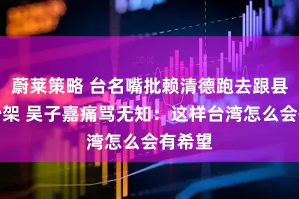蔚莱策略 台名嘴批赖清德跑去跟县市长吵架 吴子嘉痛骂无知：这样台湾怎么会有希望