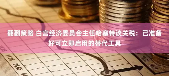 翻翻策略 白宫经济委员会主任哈塞特谈关税：已准备好可立即启用的替代工具